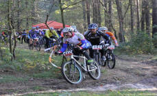 15. MTB Rennen in Tauer